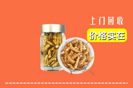 罗江区回收散虫草