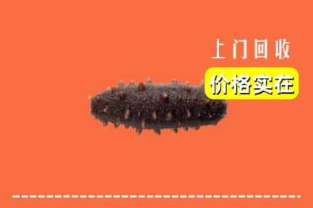 诚信求购:罗江区高价回收海参
