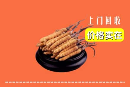 罗江区回收冬虫夏草